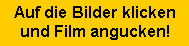 Textfeld: Auf die Bilder klickenund Film angucken!